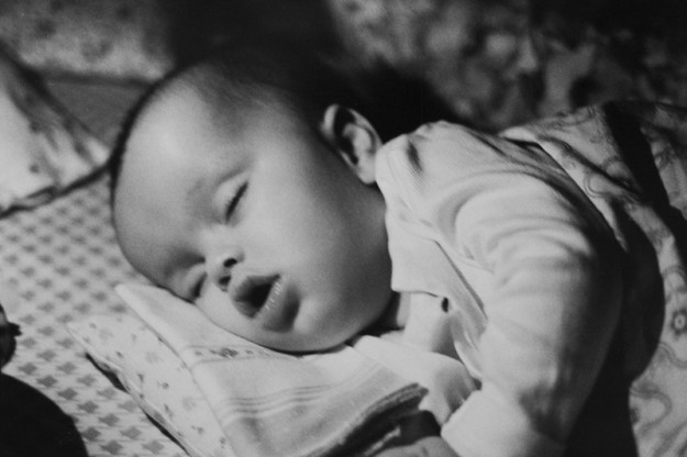 RIPRODUZIONE FOTO DI GIAMPIERO CORELLI FOTOREPORTER -OTTOBRE 2008